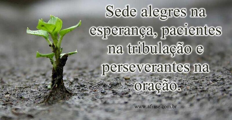 Uma muda de planta nascendo.