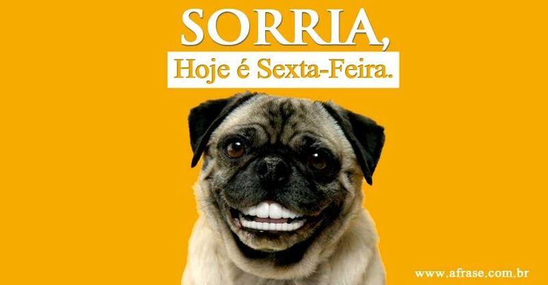 Cachorro sorrindo.