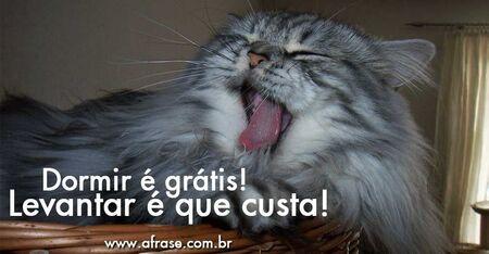 Dormir é grátis!
Levantar é que custa!