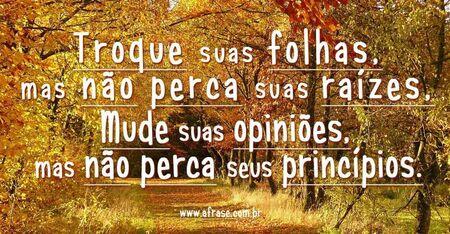 Troque suas folhas, mas não perca suas raízes.
Mude suas opiniões, mas não perca seus princípios.  