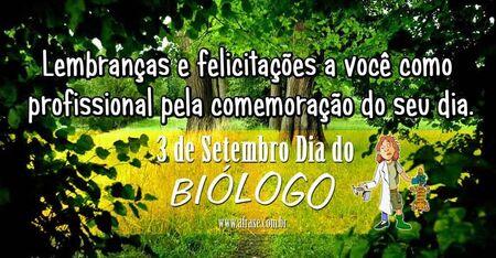 Lembranças e felicitações a você profissional pela comemoração do seu dia.
