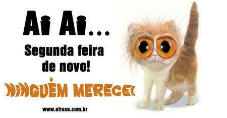 Ai Ai...
Segunda feira de novo!
Ninguém merece!