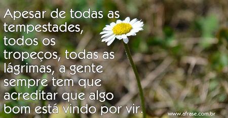 Apesar de todas as tempestades, todos os tropeços, todas as lágrimas, a gente sempre tem que acreditar que algo bom está vindo por vir.