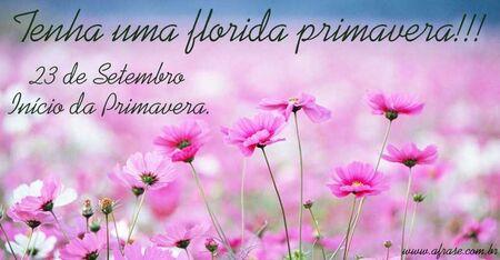 Tenha um florida primavera!!!