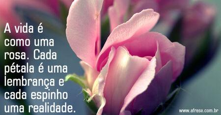 A vida é como uma rosa. 
Cada pétala é uma lembrança e cada espinho uma realidade.
