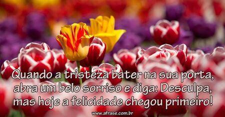 Quando a tristeza bater na sua porta, abra um belo sorriso e diga: Desculpa, mas hoje a felicidade chegou primeiro!