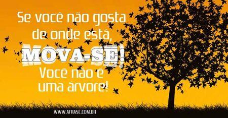 Se você não gosta de onde está, mova-se! 
Você não é uma árvore!