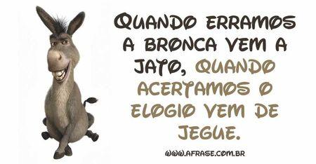 Quando erramos a bronca vem a jato, quando acertamos o elogio vem de jegue.