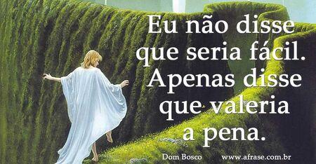 Eu não disse que seria fácil. 
Apenas disse que valeria a pena.
