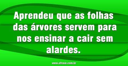 Aprendeu que as folhas das árvores servem para nos ensinar a cair sem alardes. 