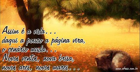 Assim é a vida… daqui a pouco a página vira, o cenário muda…novos ventos, nova brisa, novos ares, novos mares…
