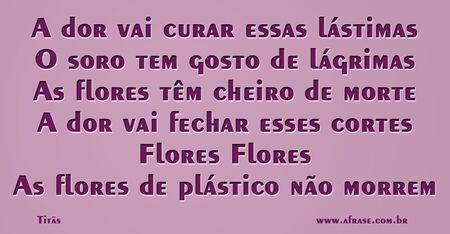A dor vai curar essas lástimas
O soro tem gosto de lágrimas
As flores têm cheiro de morte
A dor vai fechar esses cortes
Flores
Flores
As flores de plástico não morrem
