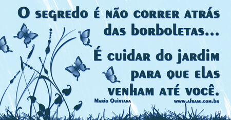 O segredo é não correr atrás das borboletas...
É cuidar do jardim para que elas venham até você.