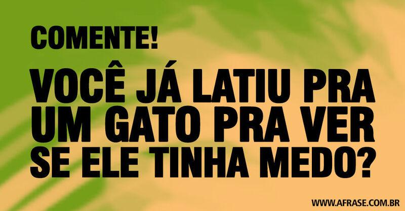 Montagem marrom e verde - Comente! Você já latiu pra ...