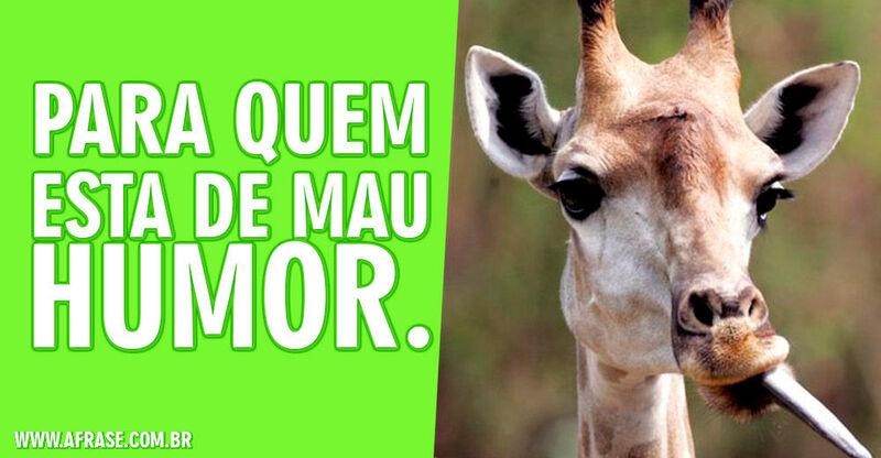 Montagem verde - Para quem esta de ...