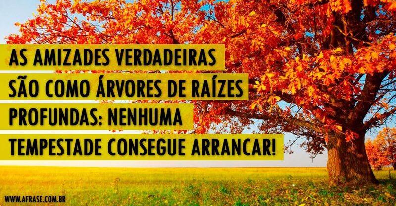 Paisagem, arvore - As amizades verdadeiras são como ...