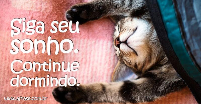 Gato - Siga seu sonho. Continue ...