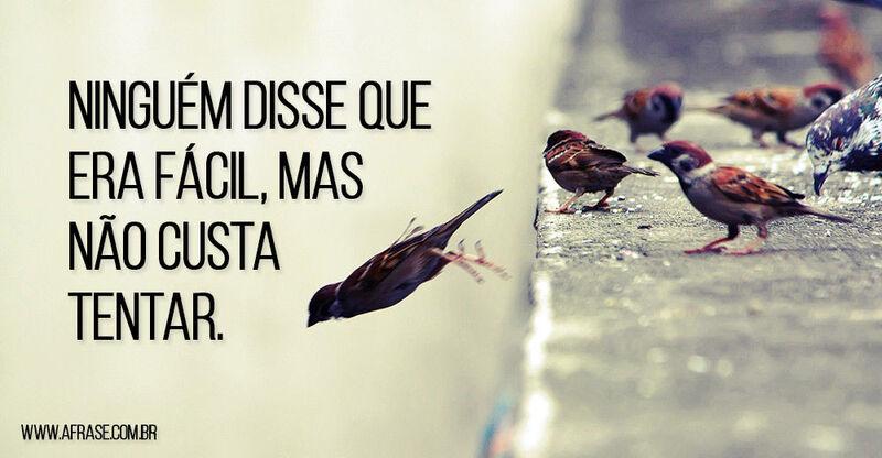 Passarinhos - Ninguém disse que era fácil, ...