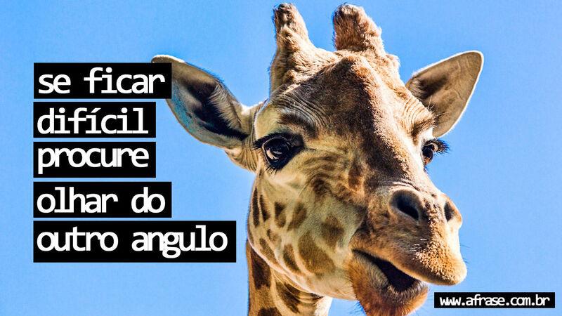 Frases de Humor - Se ficar difícil procure ...