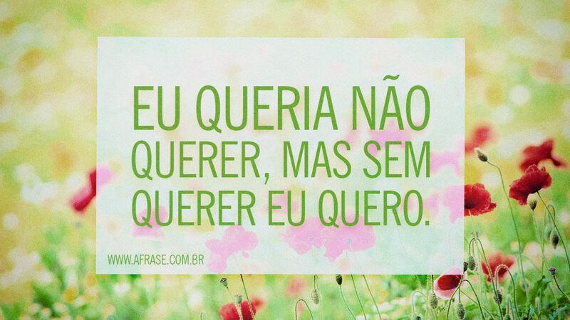 Frases de Reflexão - Eu queria não querer, ...
