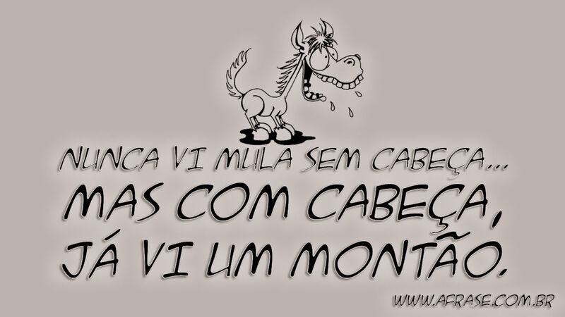 Nunca vi mula sem ...