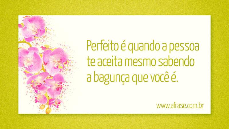 Perfeito é quando a pessoa te ...