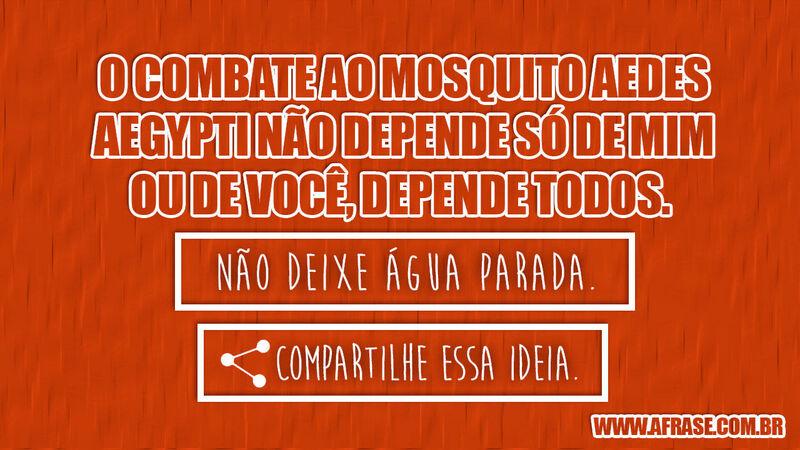 O combate ao mosquito Aedes Aegypti ...