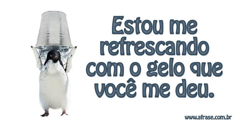 Montagem branco, pinguim  - Estou me refrescando com o gelo que você me deu...