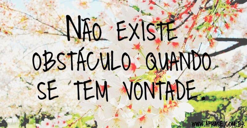 Flores - Não existe obstáculo ...