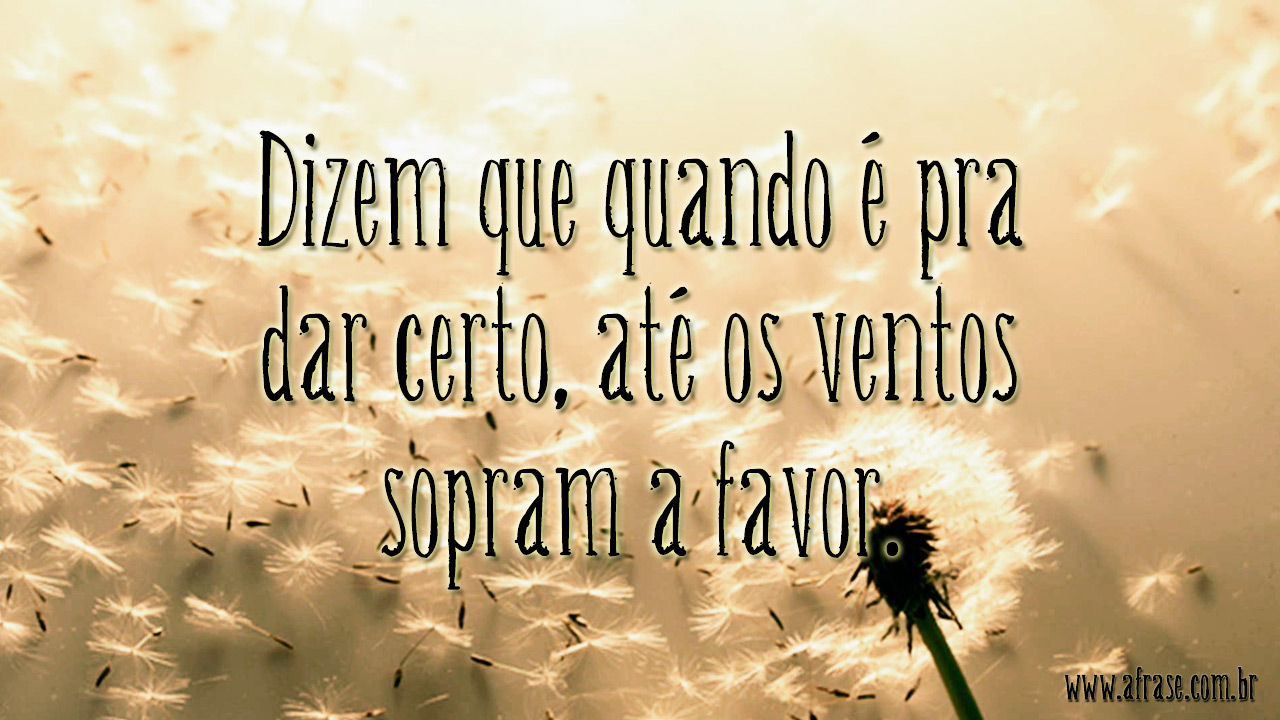 Como Vou Culpar O Vento Por Essa Bagunça