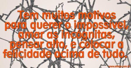 Tem muitos motivos para querer o impossível, amar as incógnitas, pensar alto, e colocar a felicidade acima de tudo. 