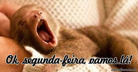 Ok, segunda-feira, vamos lá!