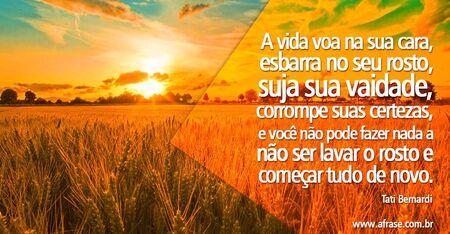 A vida voa na sua cara, esbarra no seu rosto, suja sua vaidade, corrompe suas certezas, e você não pode fazer nada a não ser lavar o rosto e começar tudo de novo. 