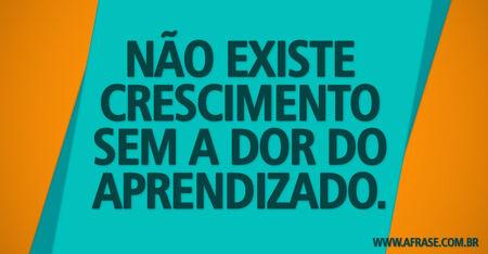 Não existe crescimento sem a dor do aprendizado.