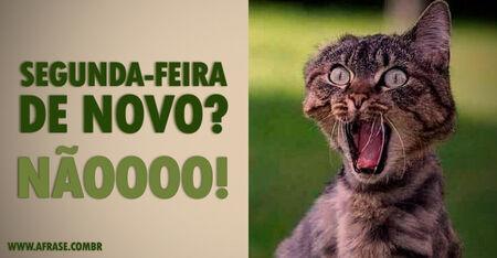 Segunda-feira de novo?
Nãoooo!