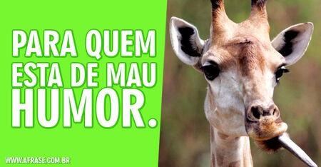 Para quem esta de mau humor.