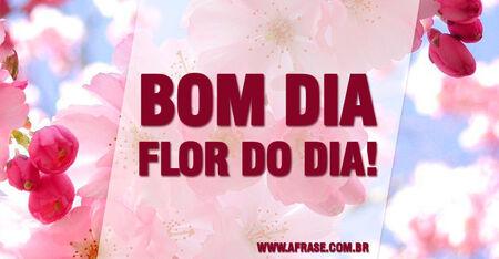 Bom dia flor do dia!