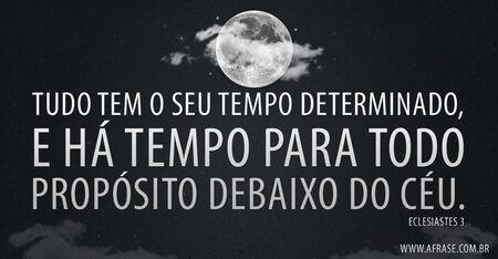 Tudo tem o seu tempo determinado, e há tempo para todo propósito debaixo do céu.

Eclesiastes 3