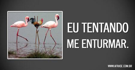 Eu tentando me enturmar.