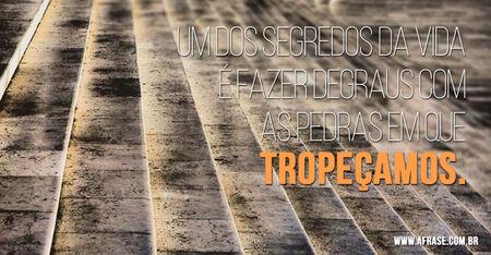 Um dos segredos da vida é fazer degraus com as pedras em que tropeçamos.