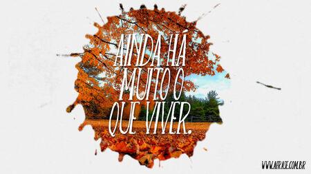 Ainda há muito o que viver.