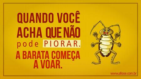 E quando você acha que não podia piorar.
A barata começa a voar.