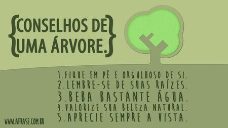 Conselhos de uma árvore.
1. Fique em pé e orgulhoso de si.
2. lembre-se de suas raízes.
3. Beba bastante água.
4. Valorize sua beleza natural.
5. Aprecie sempre a vista.