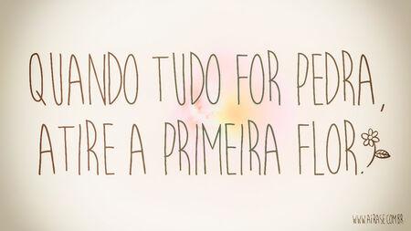 Quando tudo for pedra, atire a primeira flor.
