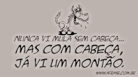 Nunca vi mula sem cabeça...
Mas com cabeça, já vi um montão.