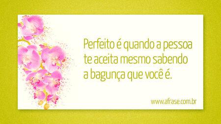 Perfeito é quando a pessoa te aceita mesmo sabendo a bagunça que você é.