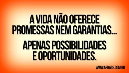 A vida não oferece promessas nem garantias...
Apenas possibilidades e oportunidades.