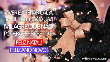 Viver é aceitar cada minuto como um milagre que não poderá ser repetido.
Feliz Natal!
Feliz Ano Novo!