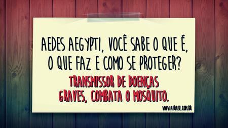 Aedes aegypti, você sabe o que é, o que faz e como se proteger?
Transmissor de doenças graves, combata o mosquito.
