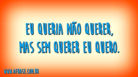 Eu queria não querer, mas sem querer eu quero.